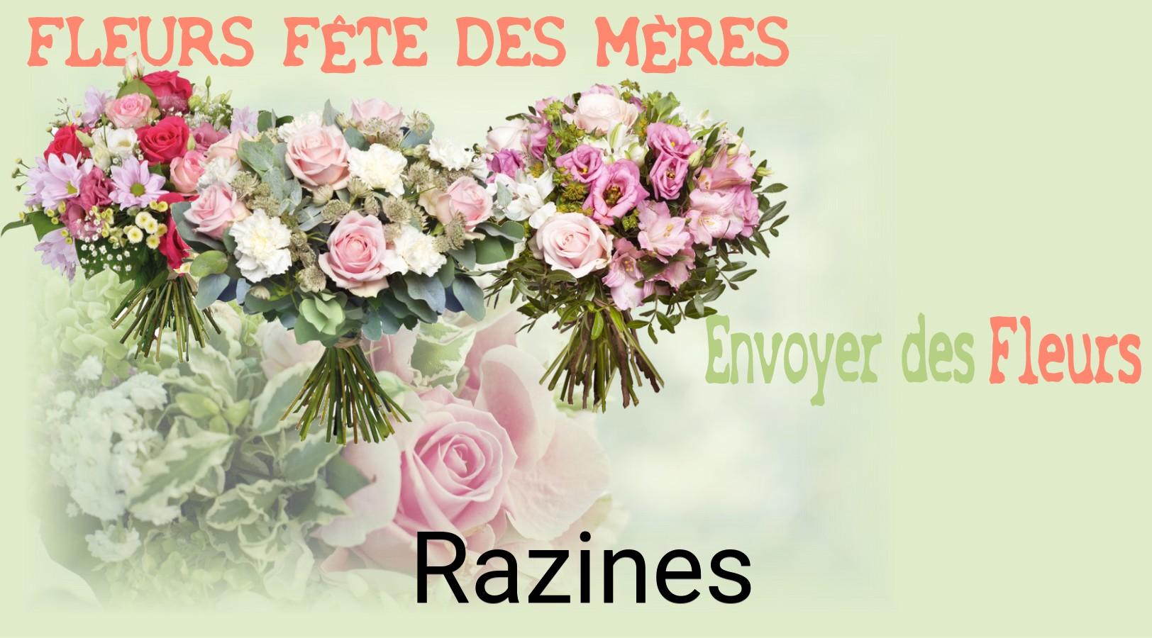 Bouquet de Fête des Mères livré à Razines